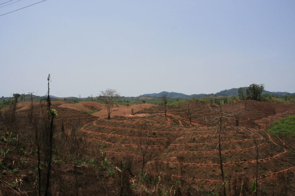 Deforested landscape