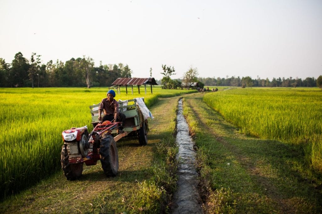 A man on a tractor.