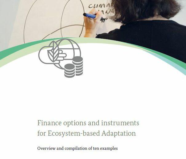 A picture of the report