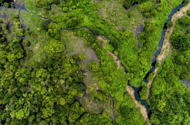 Landscape from above