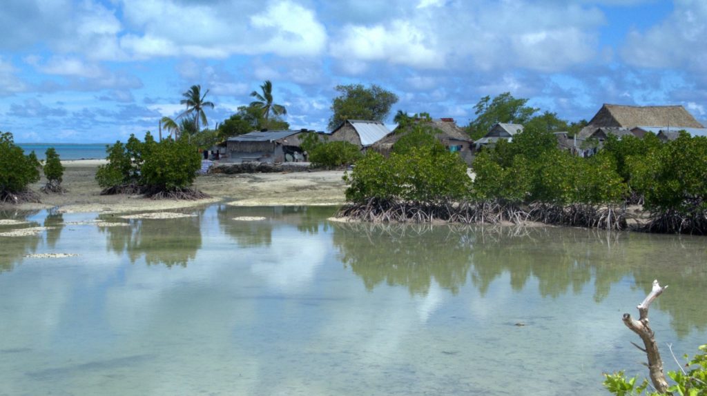 A landscape with mangroves, a beach, and houses behind it