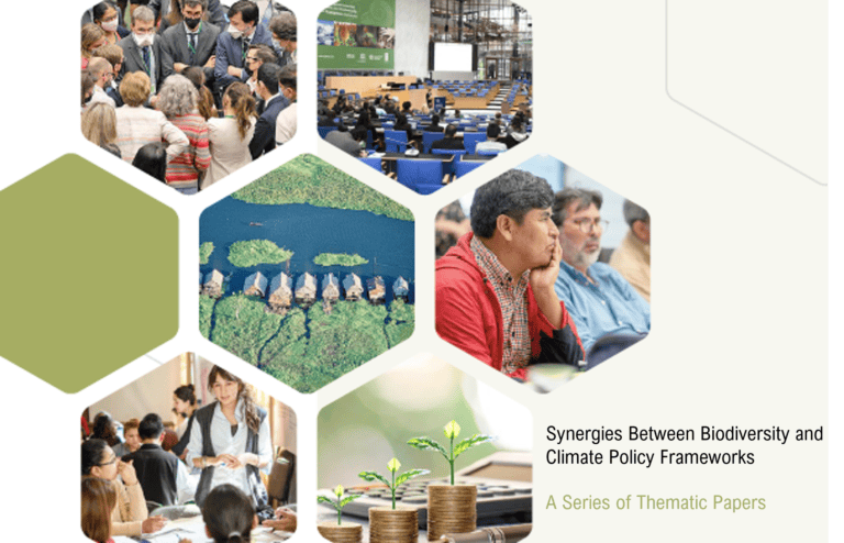 Seven tiles are arranged in a flower shape. Six of them contain photos of the following situations: several people are gathered in a group, a conference room, a river in a forest, a man in profile view, a woman explaining something to a group and three piles of coins on which small plants grow.