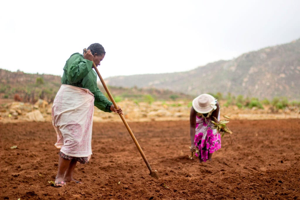 Two women are working in a plowed field in Madagascar.