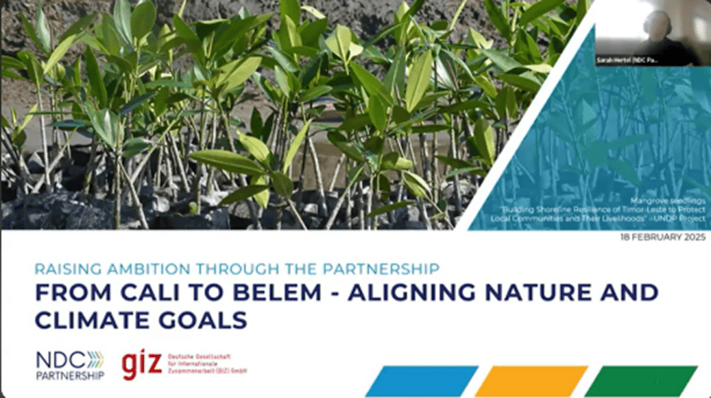 A picture from the first page of the webinar