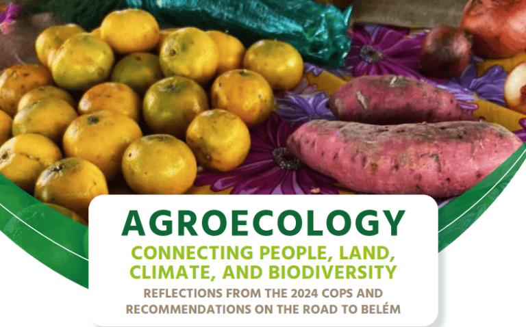 The front page of the publication with a picture of various kinds of vegetables.